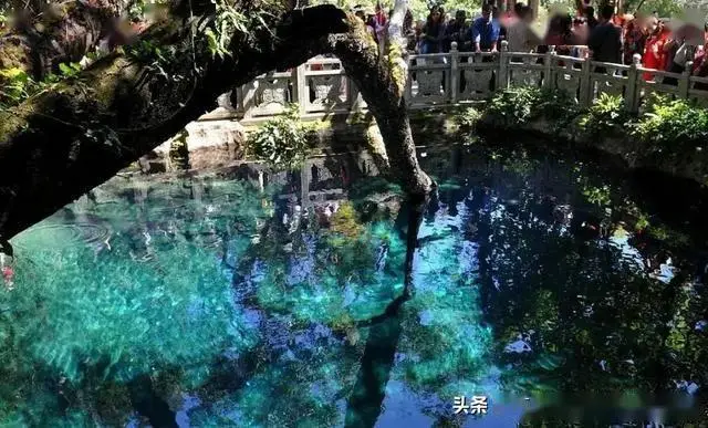 大理行程规划与避雷指南_大理西双版纳旅游攻略_大理淡季旅游攻略