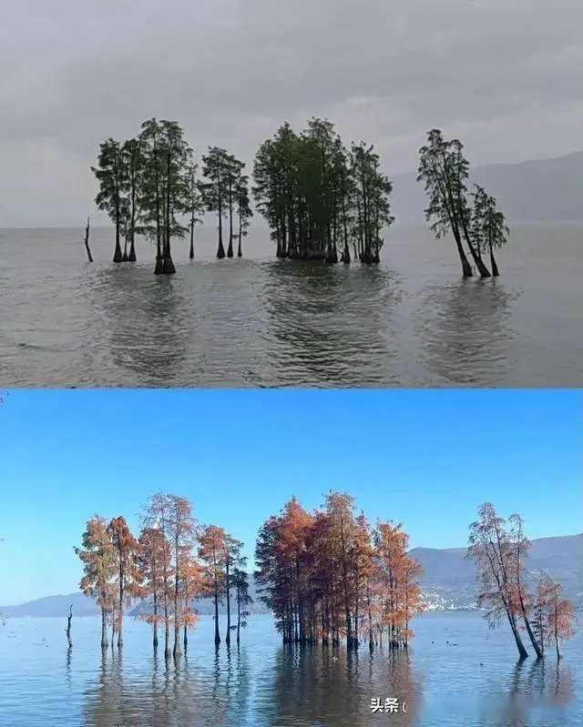 大理淡季旅游攻略_大理行程规划与避雷指南_大理西双版纳旅游攻略