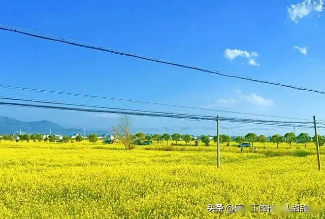 大理淡季旅游攻略_大理行程规划与避雷指南_大理西双版纳旅游攻略