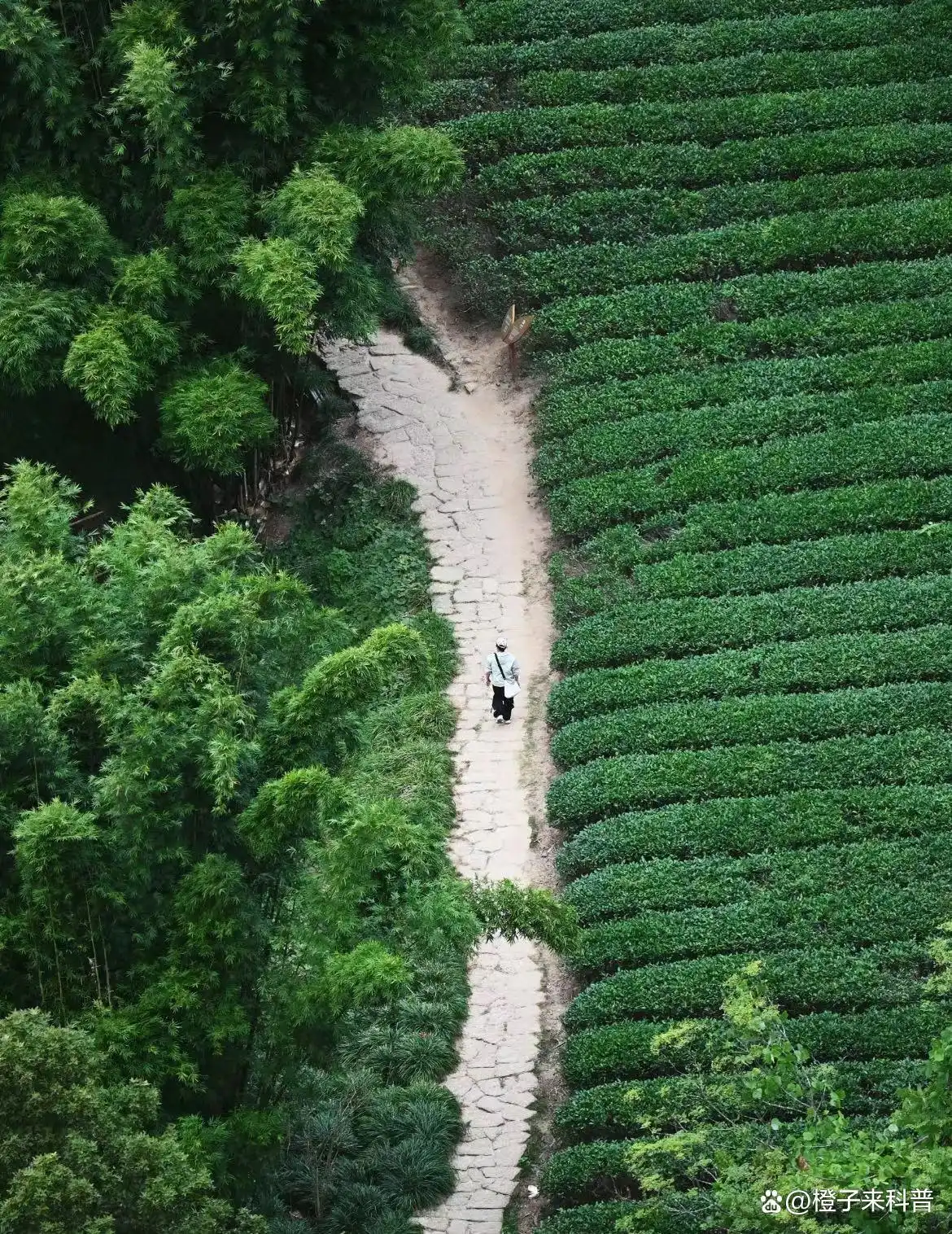 尤溪旅游攻略_福建自然风光旅游_福建旅游攻略