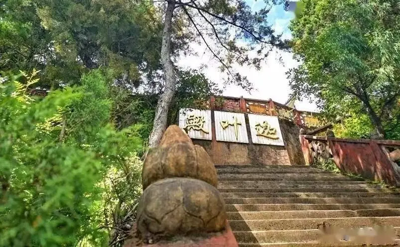 苍山洱海景点推荐_大理西双版纳旅游攻略_大理旅游攻略