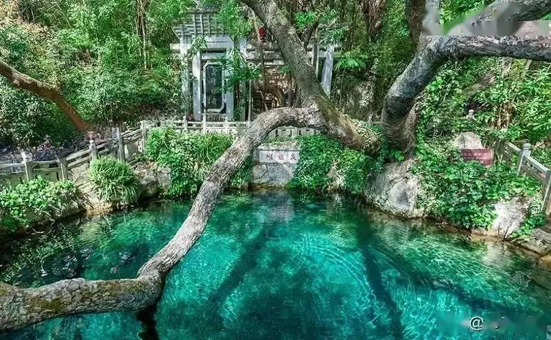 大理旅游攻略_苍山洱海景点推荐_大理西双版纳旅游攻略