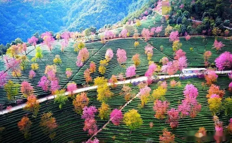 大理西双版纳旅游攻略_苍山洱海景点推荐_大理旅游攻略