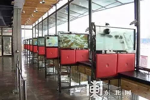 黑龙江旅游陷阱_黑龙江旅游优惠_<strong>鹤岗</strong>旅游攻略
