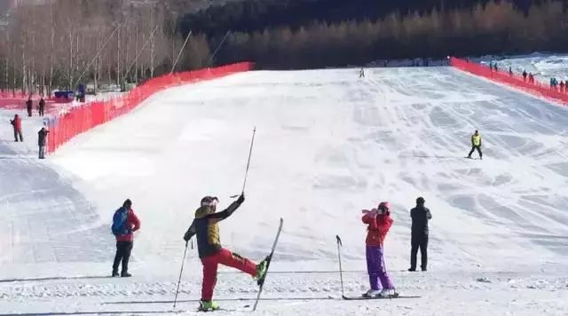 <strong>鹤岗</strong>旅游攻略_黑龙江旅游优惠_黑龙江旅游陷阱