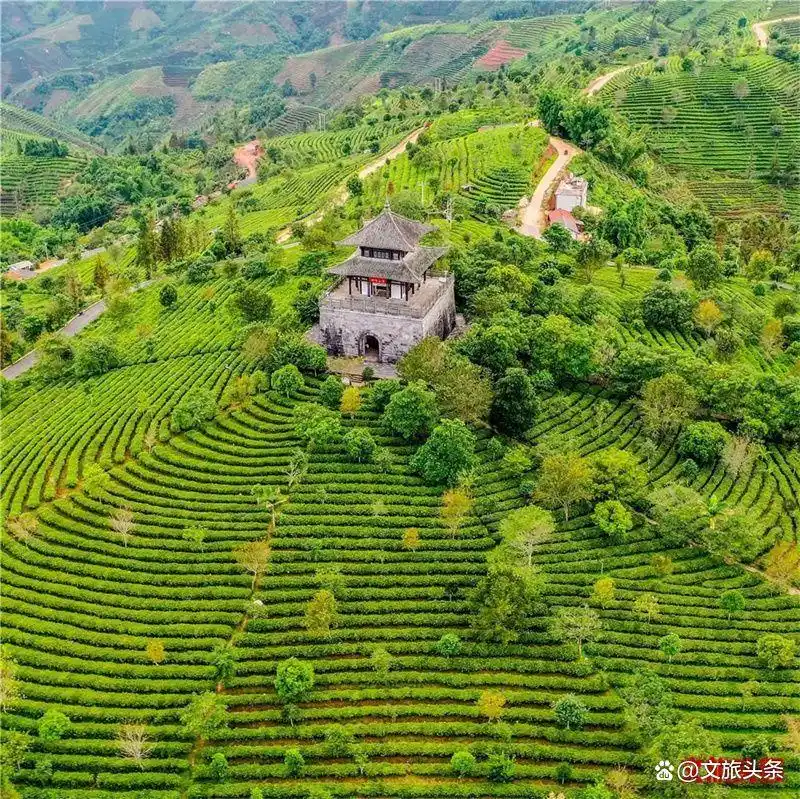 昆明品质旅游推荐_昆明到西双版纳旅游攻略_中老铁路品质旅游线路