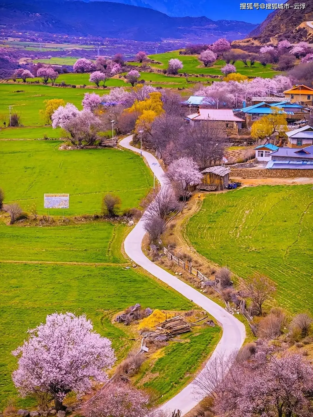 林芝4月旅游攻略_第一次带父母去西藏玩7天_4月西藏林芝看桃花旅游合适吗