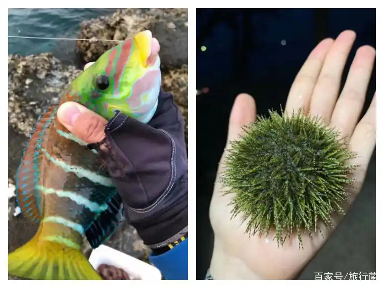 惠东巽寮湾性价比酒店推荐_巽寮湾旅游攻略住宿_巽寮湾海景酒店攻略