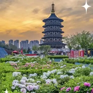 洛阳牡丹节攻略拍照美食指南_国家牡丹园最佳观赏时间交通门票优惠_洛阳牡丹花会旅游攻略
