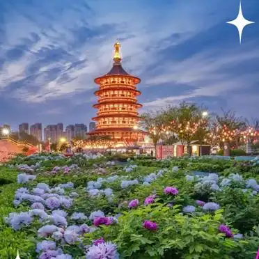 国家牡丹园最佳观赏时间交通门票优惠_洛阳牡丹花会旅游攻略_洛阳牡丹节攻略拍照美食指南