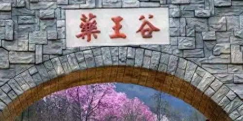 药王谷最佳游览时间与景点_四川北川药王谷旅游攻略_药王谷清明旅游攻略