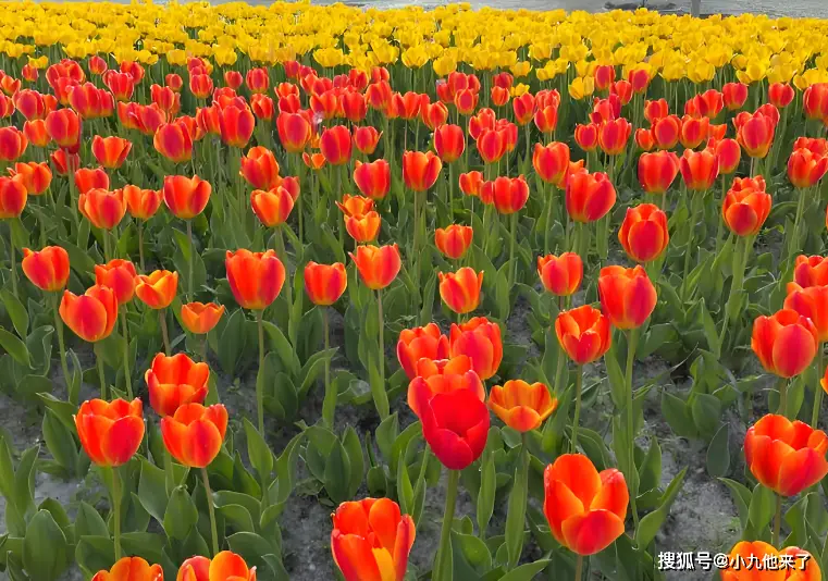 西宁旅游攻略三天_塔尔寺壁画青海湖_西宁旅游攻略