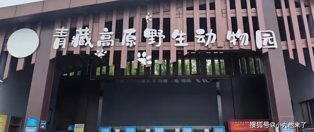塔尔寺壁画青海湖_西宁旅游攻略_西宁旅游攻略三天