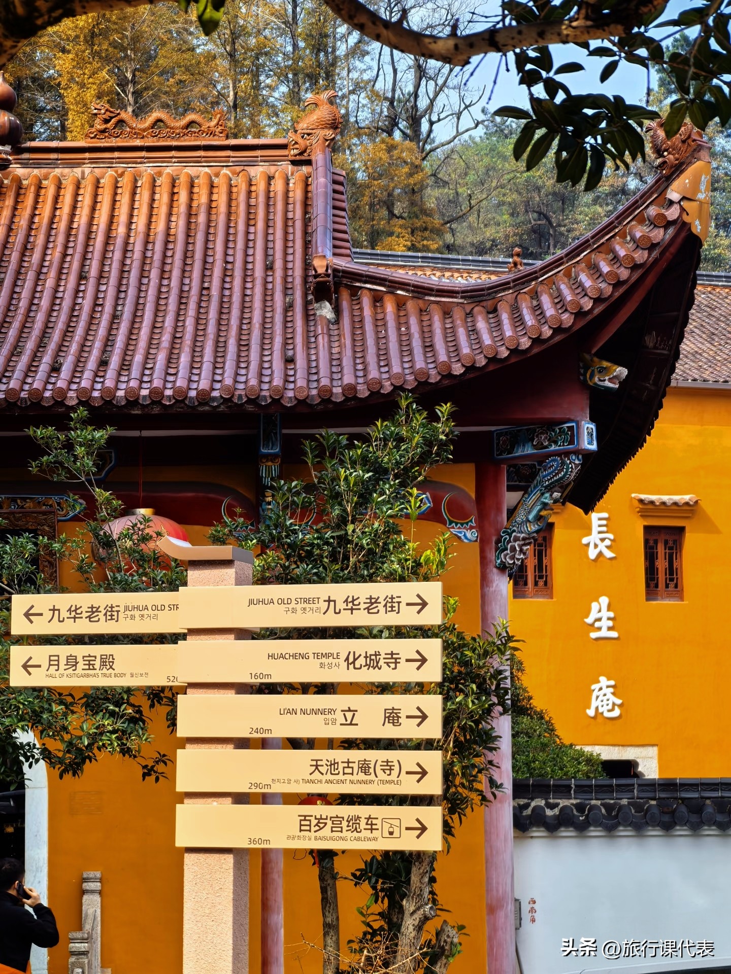 九华山旅游攻略相关推荐_九华山旅游攻略_九华山精华景点介绍