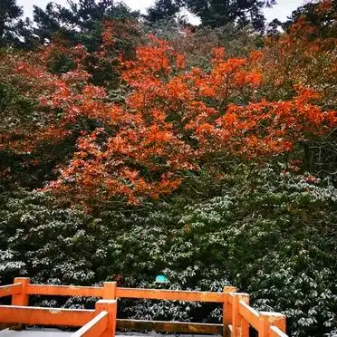峨眉乐山两日游攻略_必看景点全覆盖_峨眉山乐山旅游攻略