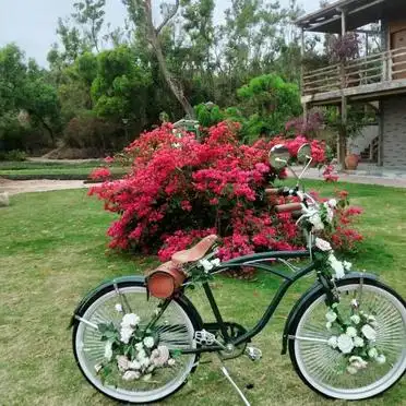 深圳小梅沙旅游攻略_深圳小梅沙一日游攻略_深圳玫瑰海岸一日游
