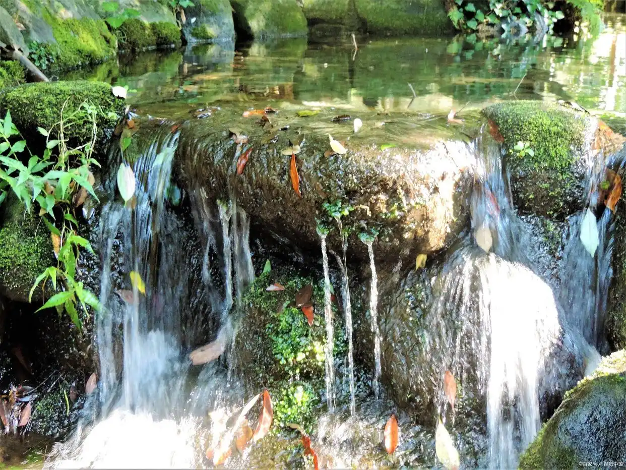 罗平油菜花海瀑布_罗平九龙瀑布旅游攻略_云南九龙瀑布