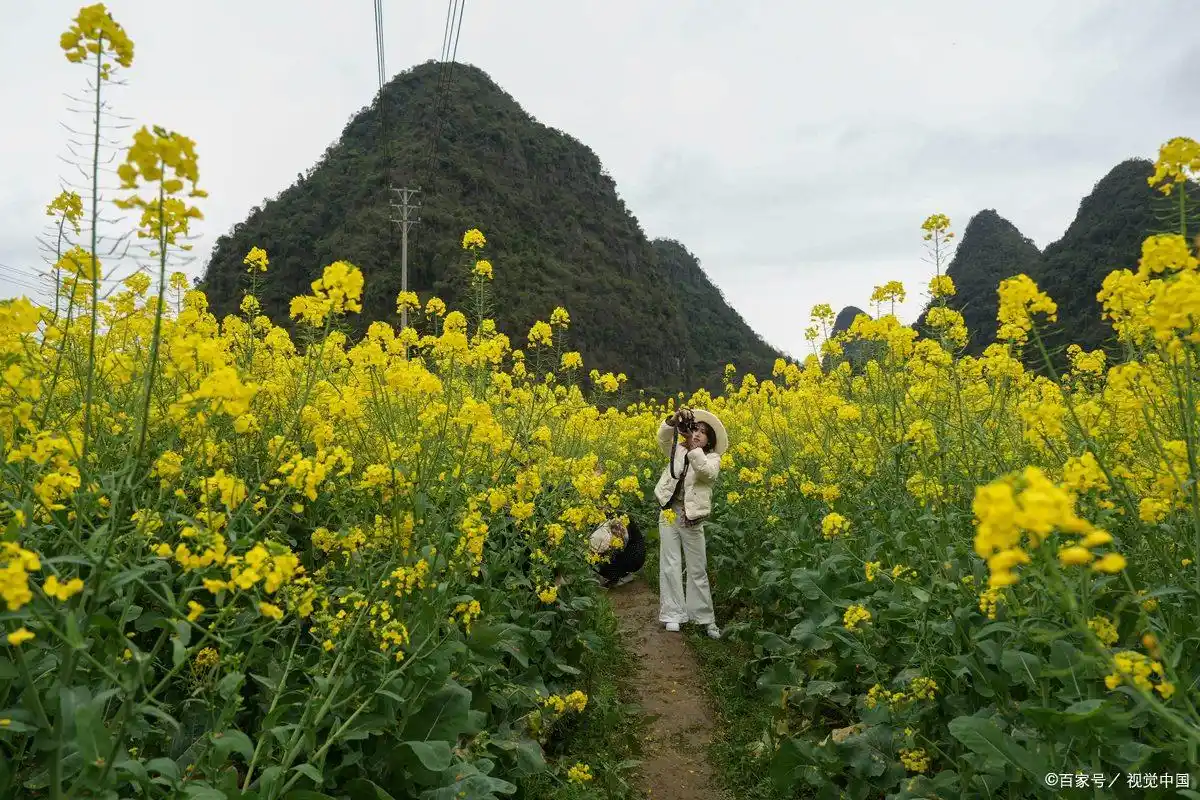罗平九龙瀑布群最佳观赏时间_罗平九龙瀑布旅游攻略_云南罗平油菜花九龙瀑布