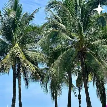 三亚亲子旅游攻略自由行_三亚亲子游隐藏景点_三亚遛娃好去处推荐