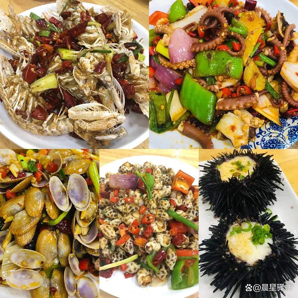三亚遛娃必玩景点_三亚亲子游行程攻略_三亚亲子旅游攻略自由行