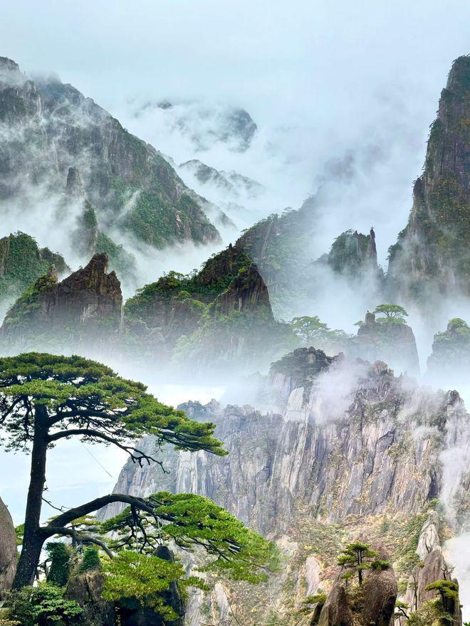黄山婺源四日游预算多少_黄山4天3晚纯玩攻略_黄山婺源宏村旅游攻略