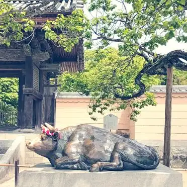 福冈旅行攻略_福冈最佳旅游路线_日本福冈旅游攻略
