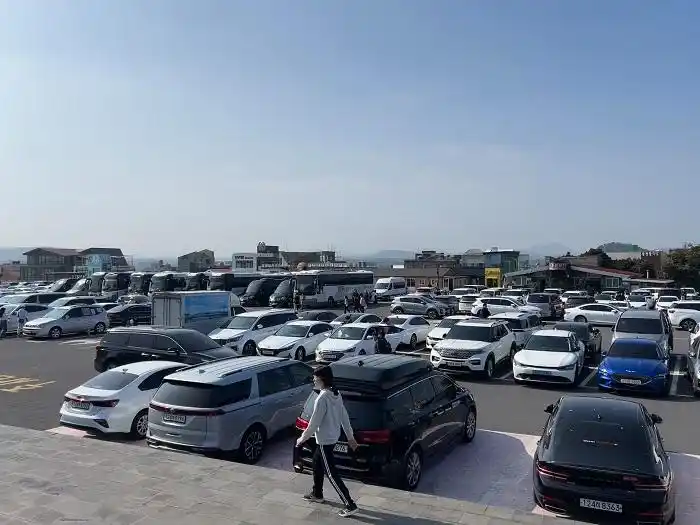 济州岛冬季旅游攻略_济州岛中国游客免签 春节济州岛旅游攻略 中国游客济州岛住宿