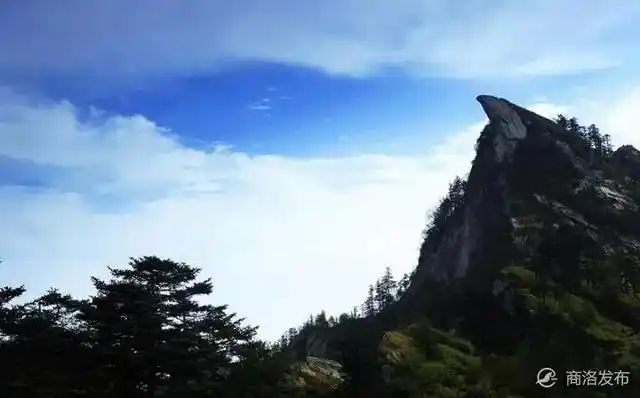 木王森林公园旅游攻略_木王国家森林公园春游攻略_星空民宿汉服拍照