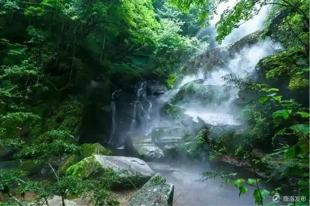 星空民宿汉服拍照_木王森林公园旅游攻略_木王国家森林公园春游攻略