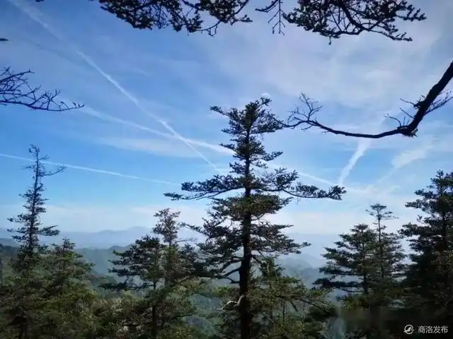 木王森林公园旅游攻略_星空民宿汉服拍照_木王国家森林公园春游攻略
