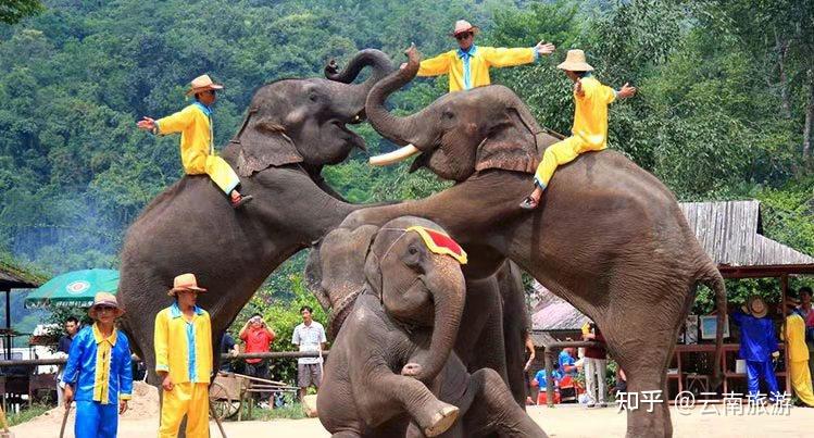 云南普洱市旅游攻略_云南特色旅游景点推荐_云南旅游攻略避坑指南