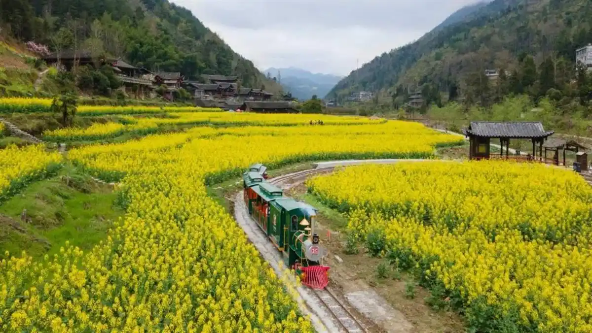 恩施赏花旅游路线_恩施市旅游攻略_恩施春季赏花攻略