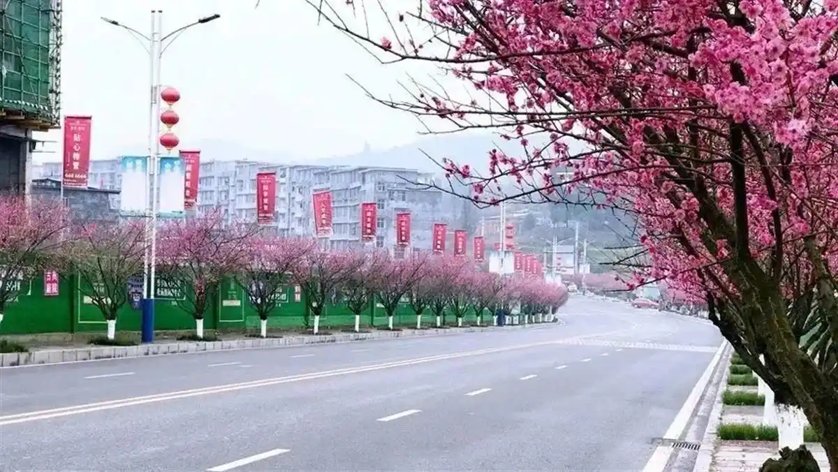 恩施赏花旅游路线_恩施市旅游攻略_恩施春季赏花攻略