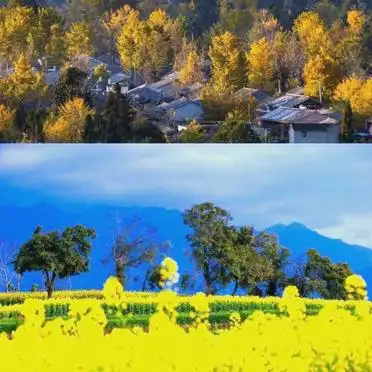 腾冲芒市瑞丽旅游包车攻略_腾冲瑞丽芒市旅游攻略_高黎贡山徒步路线推荐