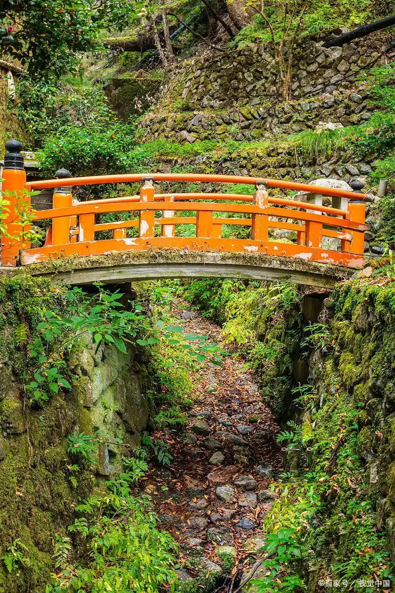 天目山游玩路线推荐_临安天目山旅游攻略_天目山旅游攻略