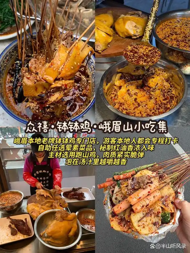 峨眉山旅游攻略_峨眉山避坑指南_峨眉山旅游攻略 住宿